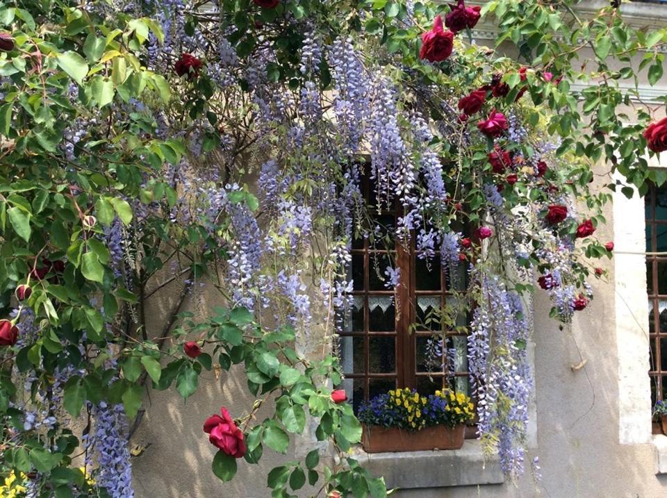 Cote Jardin Bed and Breakfast Villiers-sur-Loir Buitenkant foto